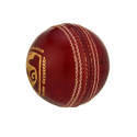 SG Bouncer Good Quality Four-Piece Water Proof Cricket Leather Ball