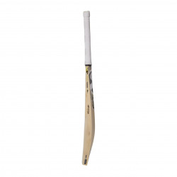 SG HP Icon Cricket Bat