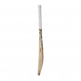 SG HP Icon Cricket Bat