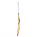 SG RSD Select Cricket Bat