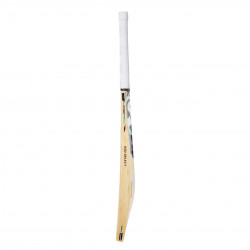 SG RSD Select Cricket Bat