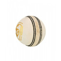 SG Club White Cricket Leather Ball (Four-Piece, Water Proof)