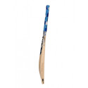 SG Players Edition Cricket Bat