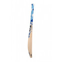 SG Players Xtreme Cricket Bat