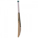 SS Retro Power Plus Cricket Bat