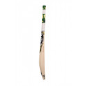 SG Savage Strike Cricket Bat