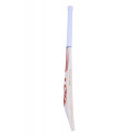 SG Sunny Tonny Icon Cricket Bat