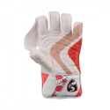 SG Test Wicket Keeping Gloves