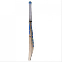 SS Vintage 6.0 Cricket Bat